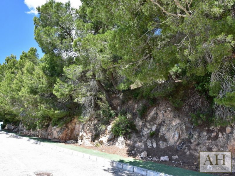 photo_3