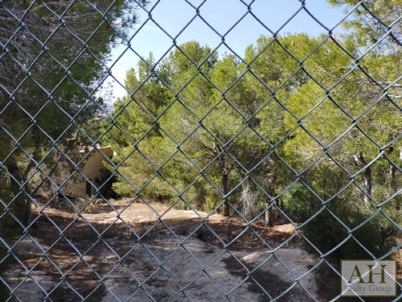 photo_5