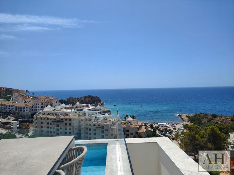 photo_4