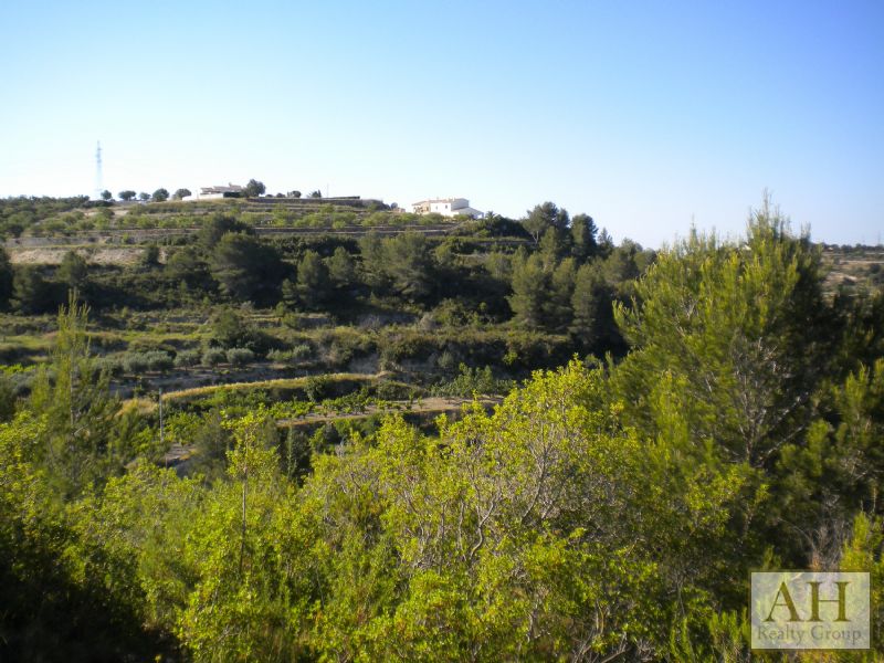 photo_12