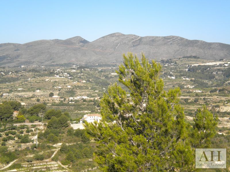 photo_4