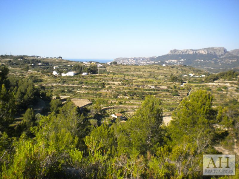 photo_7