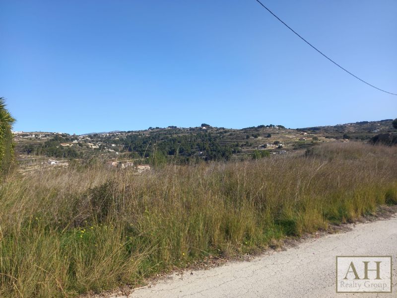 photo_3