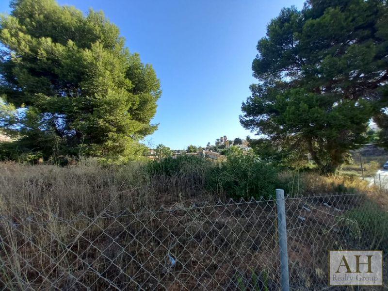 photo_2