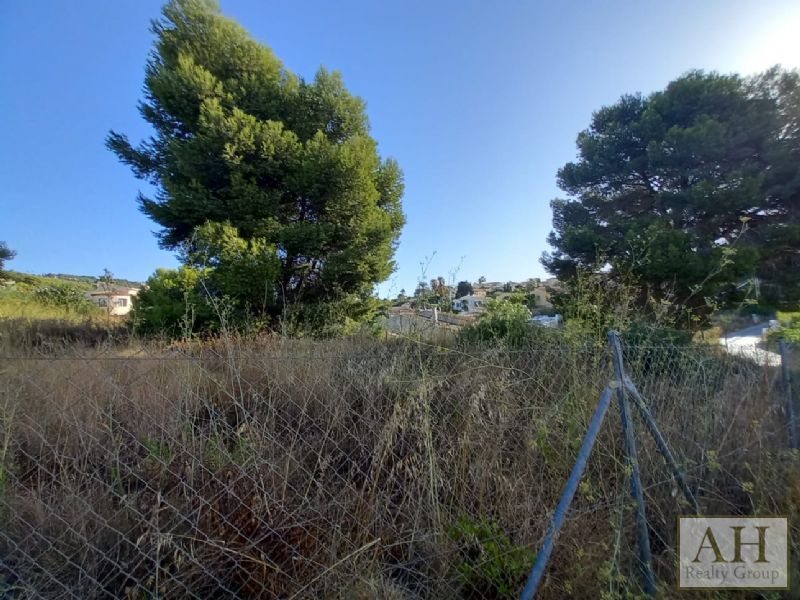photo_3