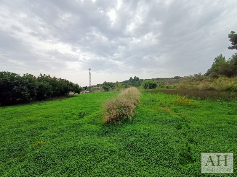 photo_9