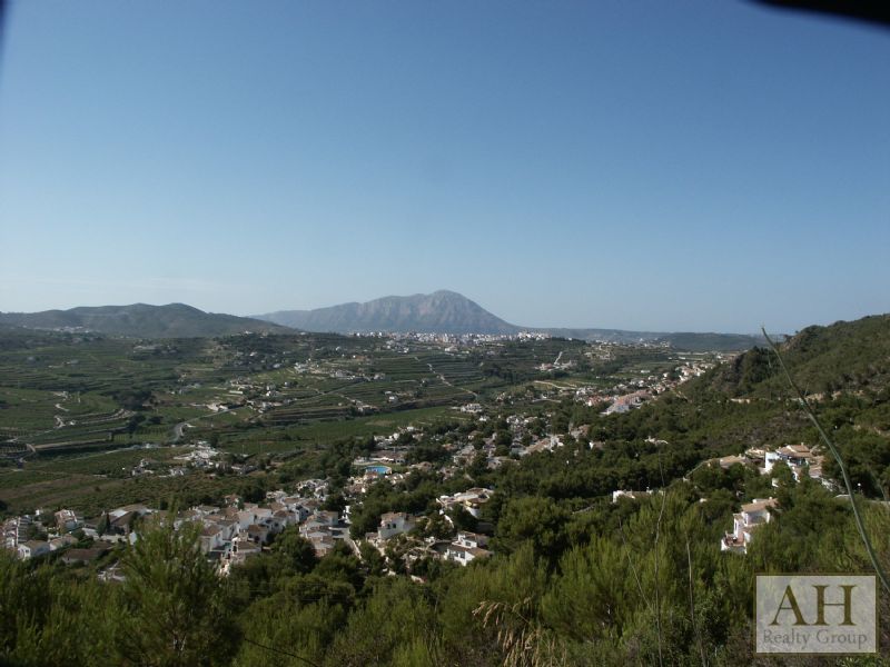 photo_3