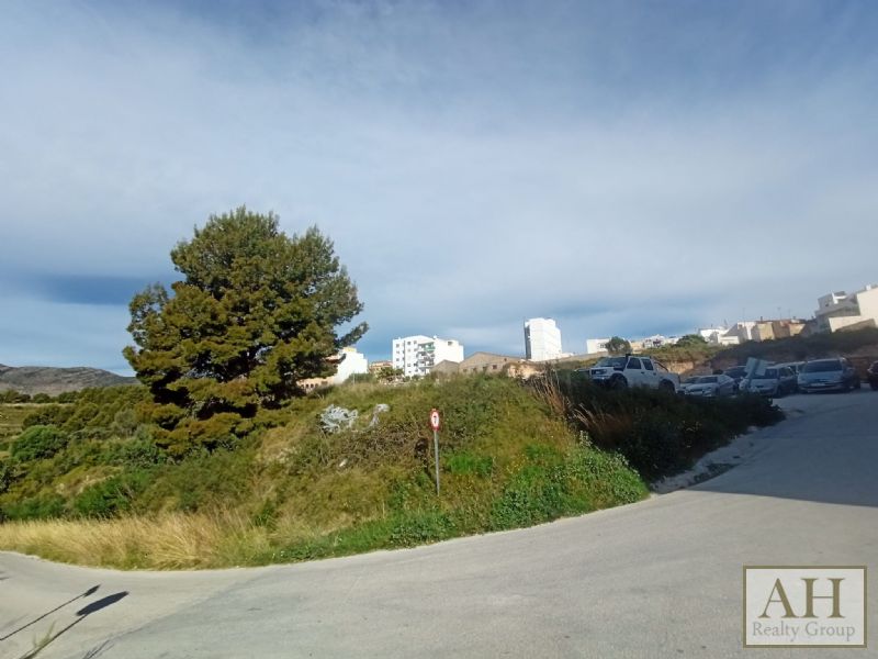 photo_2